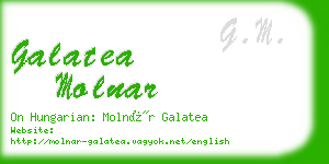 galatea molnar business card